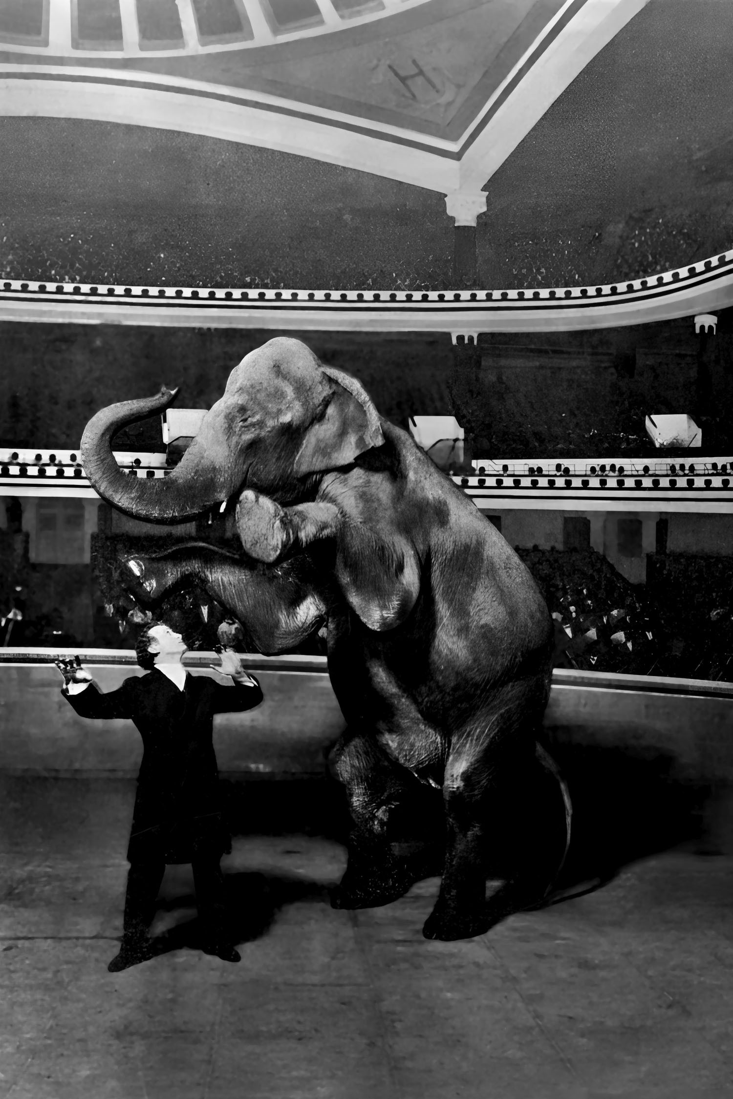 Escape Room Triana - Contacto